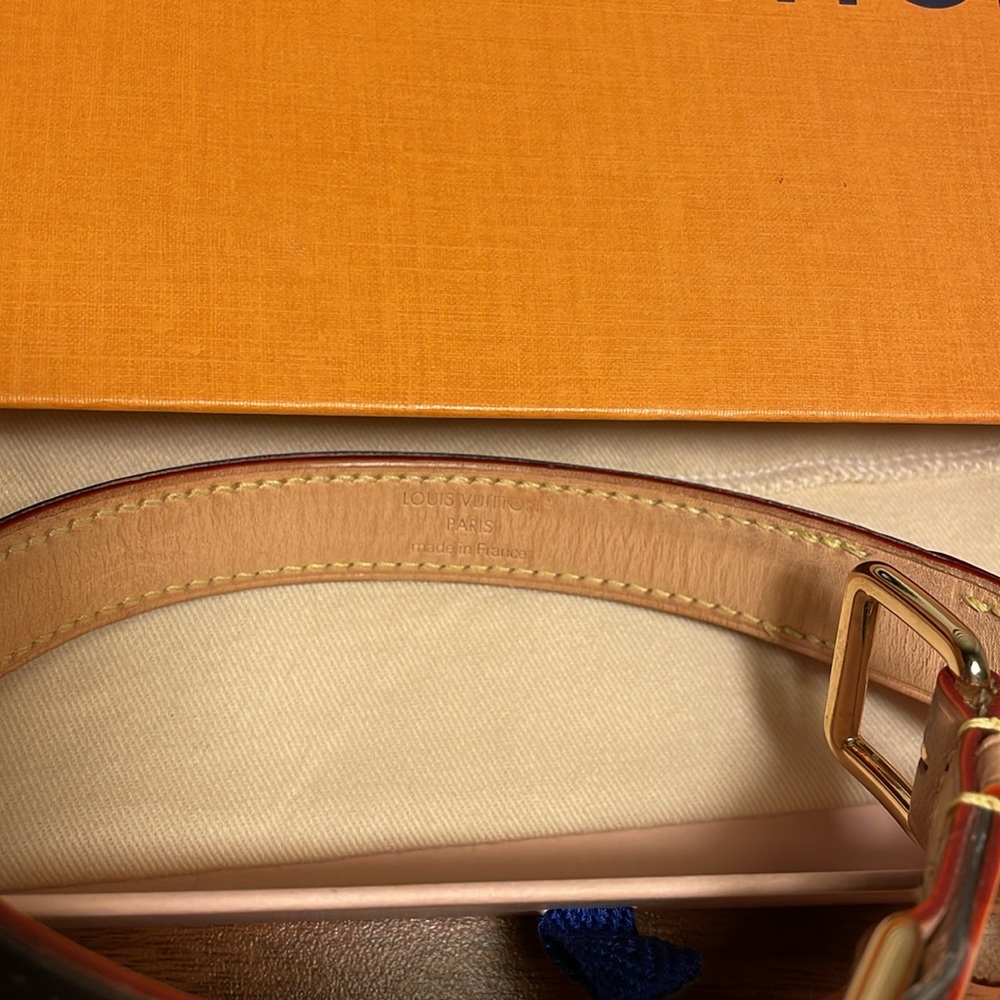 Louis Vuitton Dog Collar Medium - Picture 14 of 16